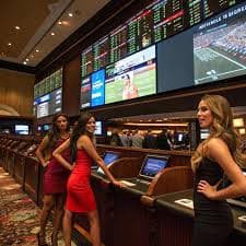 3300 bet